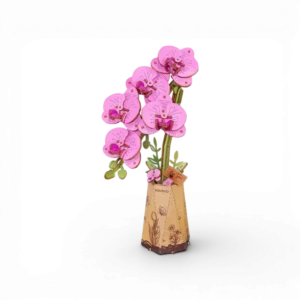 Purple Moth Orchid