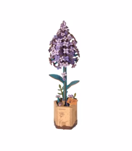 Lilac