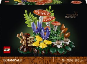 11505 Setas del Bosque