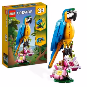Loro Exótico 31136