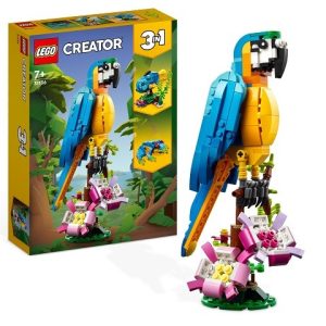 Loro Exótico 31136