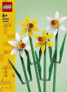 40747 - Narcisos