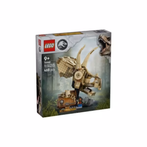 76969 - Fosil dinosaurio: Calavera de Triceratops