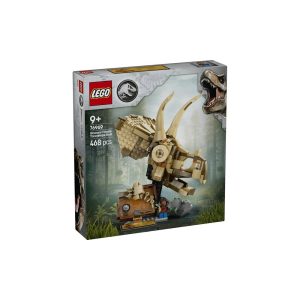 76969 - Fosil dinosaurio: Calavera de Triceratops